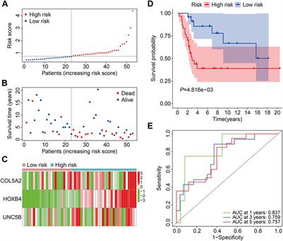 Identification of a novel gene signature with regard to ferroptosis, prognosis prediction, and immune microenvironment in osteosarcoma